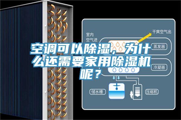 空调可以除湿，为什么还需要家用免费看操逼软件呢？