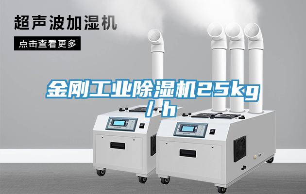 金刚工业免费看操逼软件25kg／h