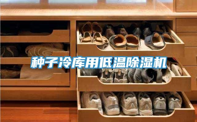 种子冷库用低温免费看操逼软件