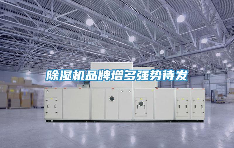 免费看操逼软件品牌增多强势待发