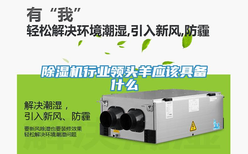 免费看操逼软件行业领头羊应该具备什么