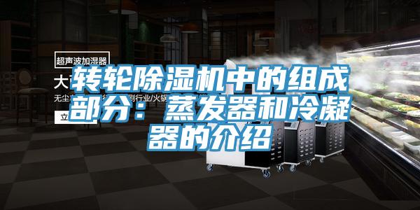 转轮免费看操逼软件中的组成部分：蒸发器和冷凝器的介绍