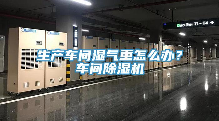生产车间湿气重怎么办？车间免费看操逼软件