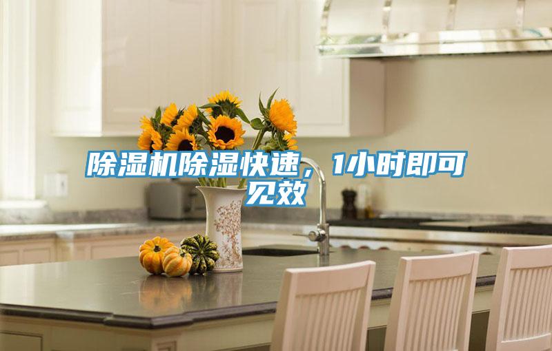 免费看操逼软件除湿快速，1小时即可见效