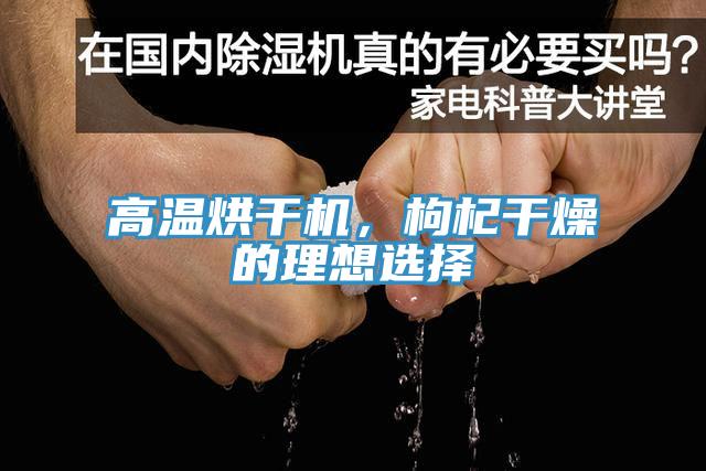 高温烘干机，枸杞干燥的理想选择