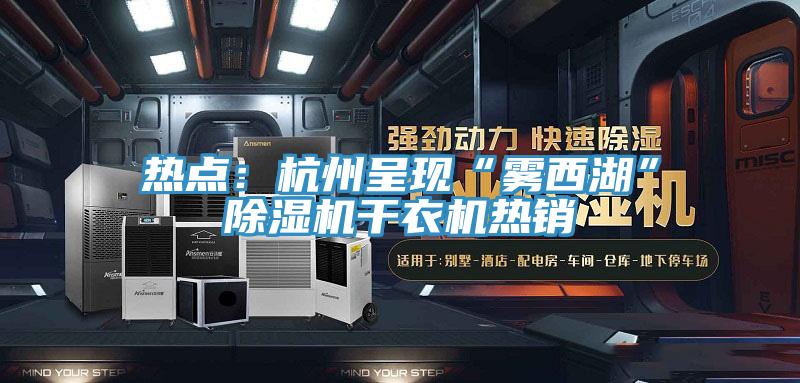 热点：杭州呈现“雾西湖”免费看操逼软件干衣机热销
