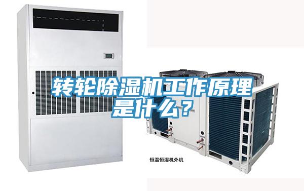 转轮免费看操逼软件工作原理是什么？