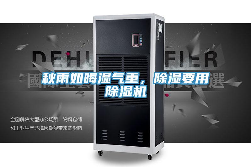 秋雨如晦湿气重，除湿要用免费看操逼软件