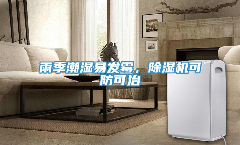 雨季潮湿易发霉，免费看操逼软件可防可治