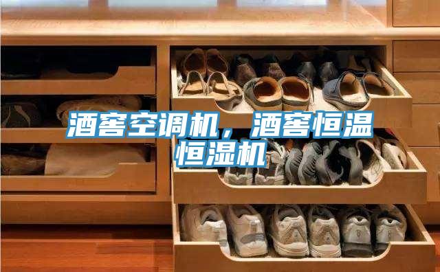 酒窖空调机，酒窖恒温恒湿机