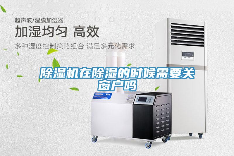 免费看操逼软件在除湿的时候需要关窗户吗