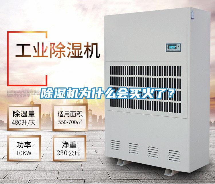 免费看操逼软件为什么会买火了？