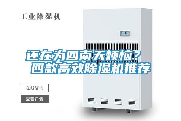 还在为回南天烦恼？ 四款高效免费看操逼软件推荐