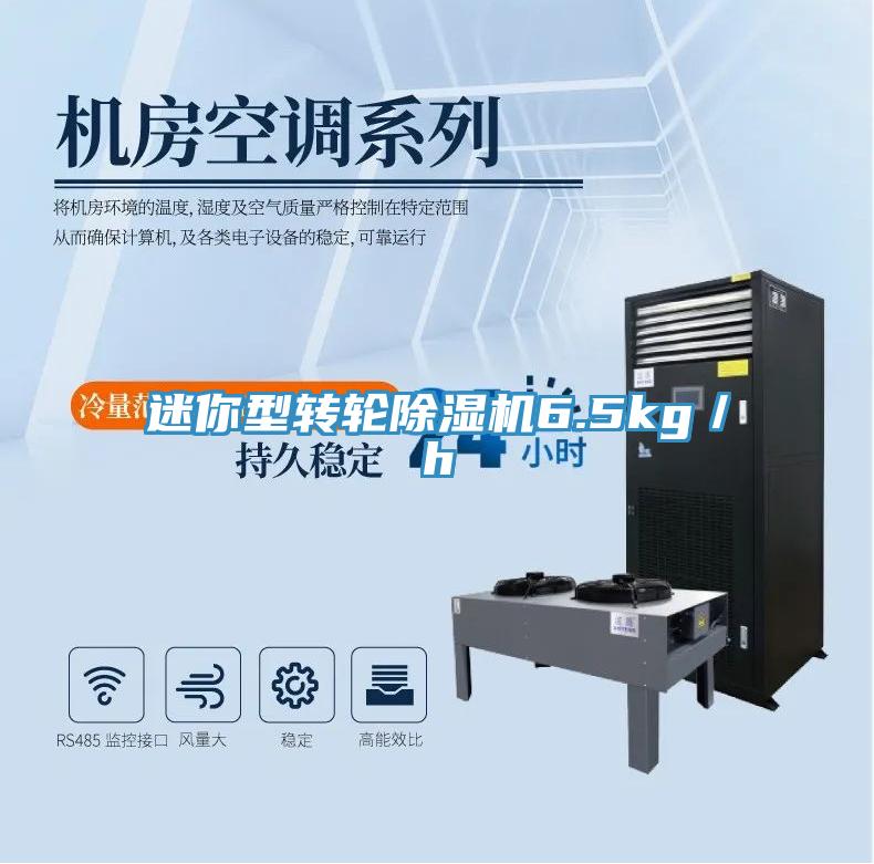 迷你型转轮免费看操逼软件6.5kg／h