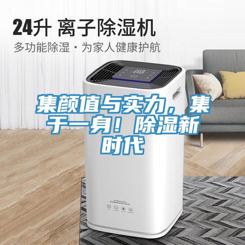 集颜值与实力，集于一身！除湿新时代