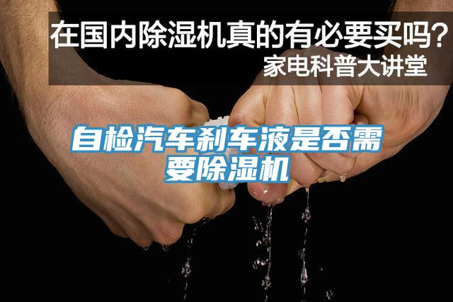 自检汽车刹车液是否需要免费看操逼软件