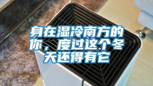 身在湿冷南方的你，度过这个冬天还得有它