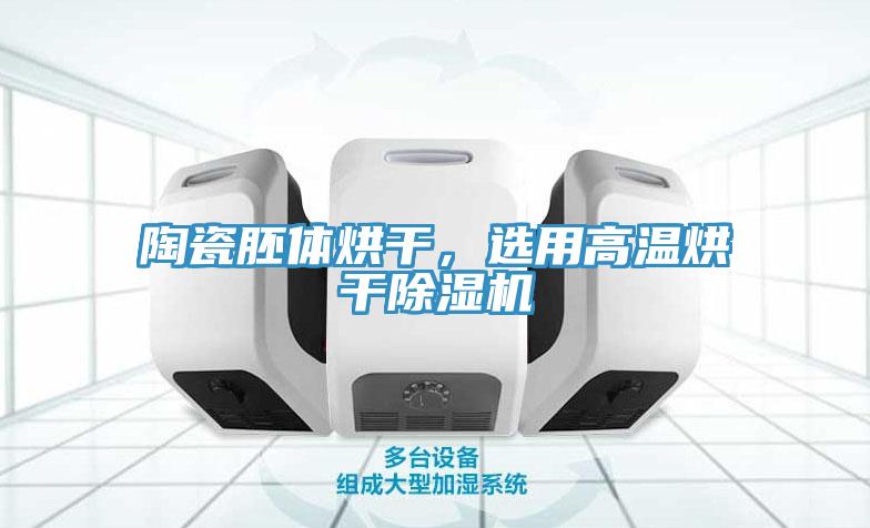 陶瓷胚体烘干，选用高温烘干免费看操逼软件