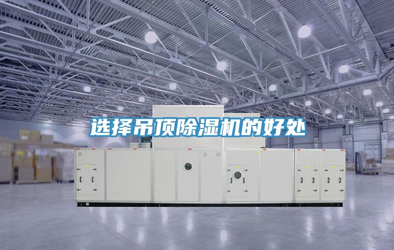 选择吊顶免费看操逼软件的好处
