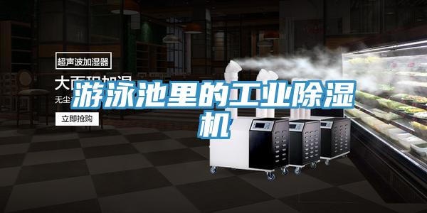 游泳池里的工业免费看操逼软件