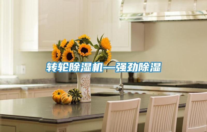 转轮免费看操逼软件—强劲除湿