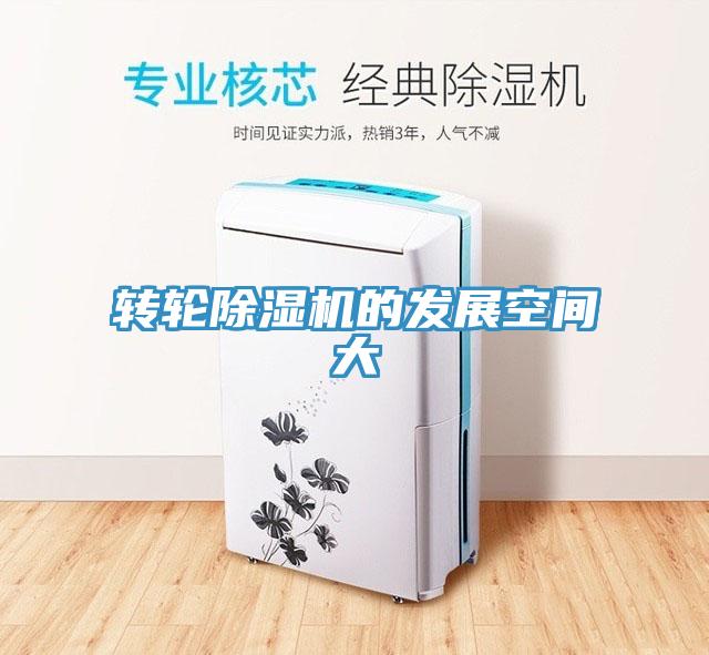 转轮免费看操逼软件的发展空间大