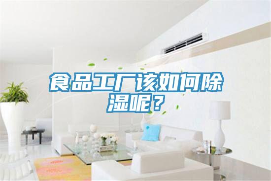 食品工厂该如何除湿呢？