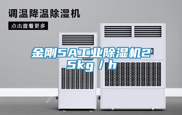 金刚5A工业免费看操逼软件25kg／h