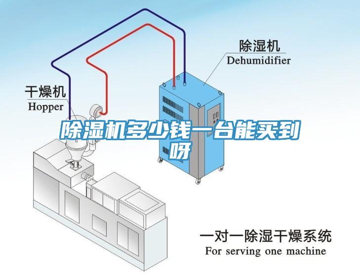 免费看操逼软件多少钱一台能买到呀