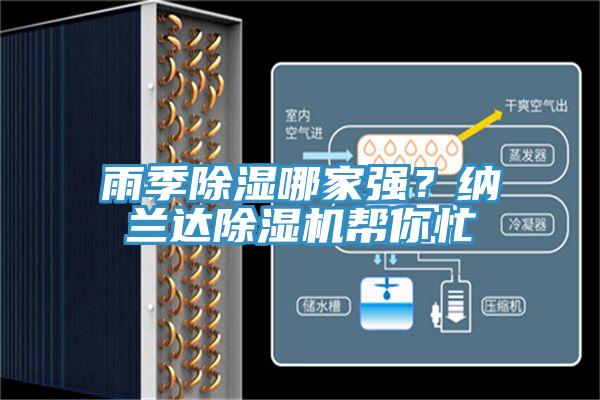 雨季除湿哪家强？纳兰达免费看操逼软件帮你忙