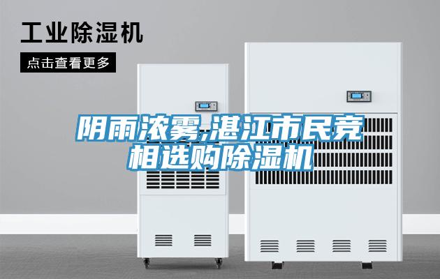 阴雨浓雾,湛江市民竞相选购免费看操逼软件