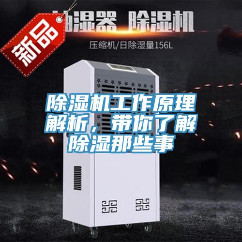 免费看操逼软件工作原理解析，带你了解除湿那些事