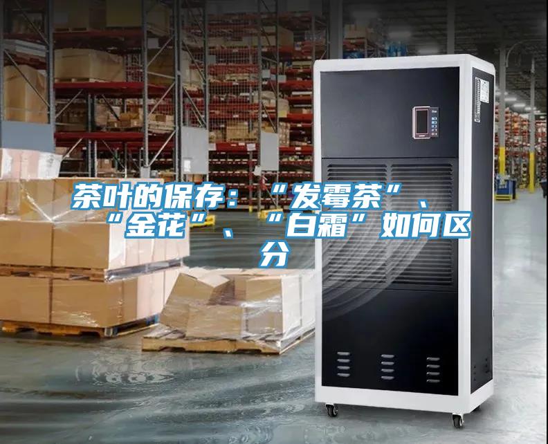 茶叶的保存：“发霉茶”、“金花”、“白霜”如何区分