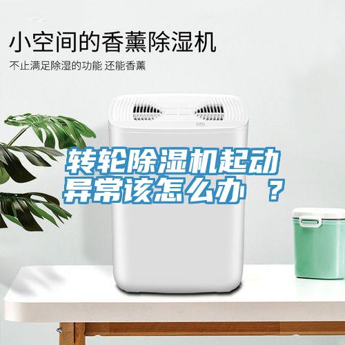 转轮免费看操逼软件起动异常该怎么办 ？