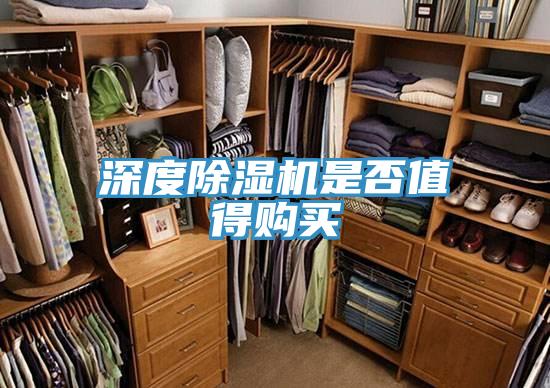 深度免费看操逼软件是否值得购买