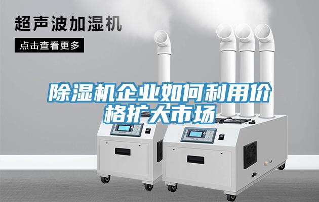 免费看操逼软件企业如何利用价格扩大市场