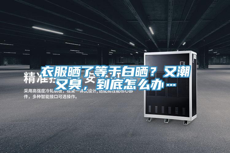 衣服晒了等于白晒？又潮又臭，到底怎么办…