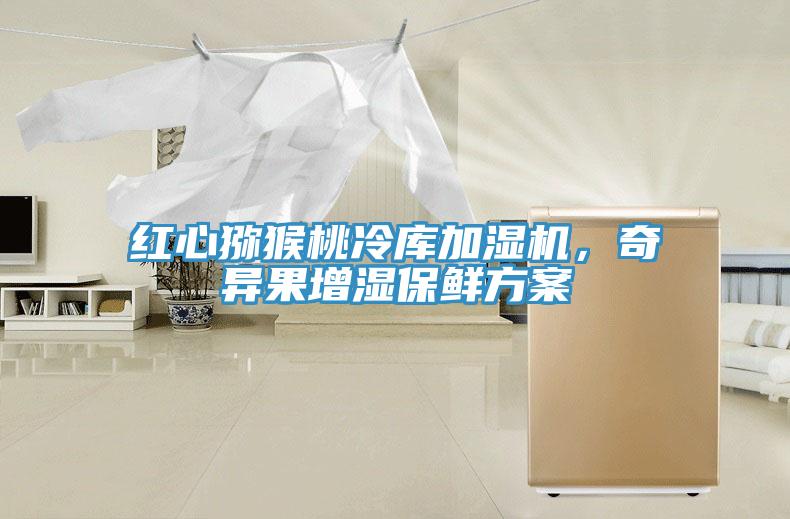红心猕猴桃冷库加湿机，奇异果增湿保鲜方案