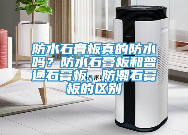防水石膏板真的防水吗？防水石膏板和普通石膏板、防潮石膏板的区别