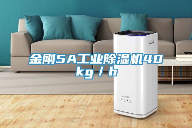 金刚5A工业免费看操逼软件40kg／h