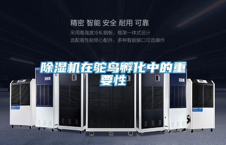 免费看操逼软件在鸵鸟孵化中的重要性
