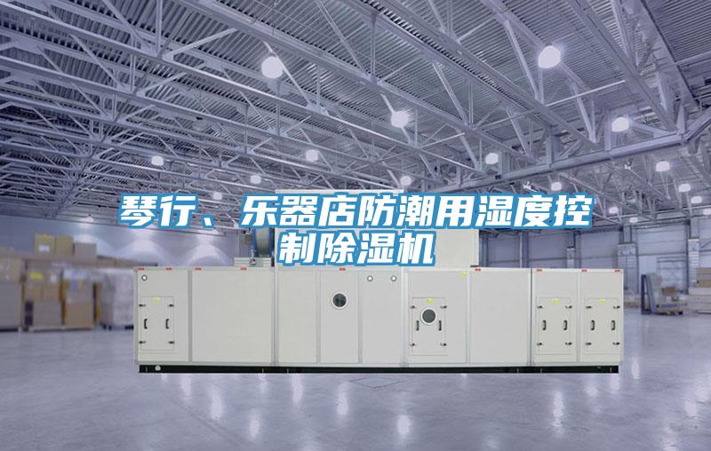 琴行、乐器店防潮用湿度控制免费看操逼软件