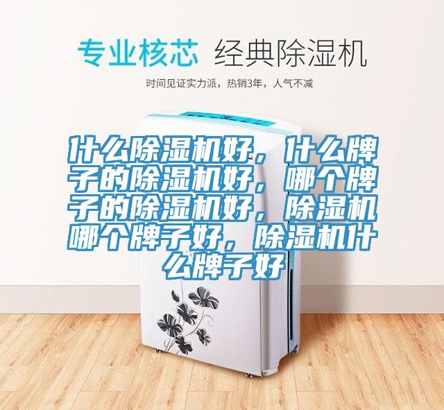 什么免费看操逼软件好，什么牌子的免费看操逼软件好，哪个牌子的免费看操逼软件好，免费看操逼软件哪个牌子好，免费看操逼软件什么牌子好