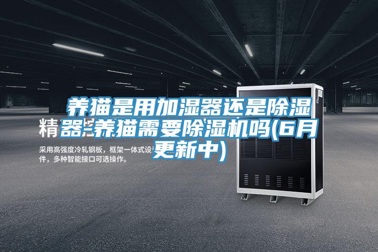 养猫是用加湿器还是除湿器-养猫需要免费看操逼软件吗(6月更新中)