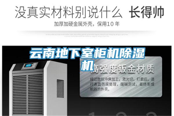 云南地下室柜机免费看操逼软件