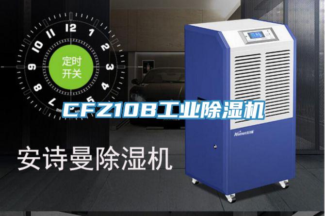 CFZ10B工业免费看操逼软件