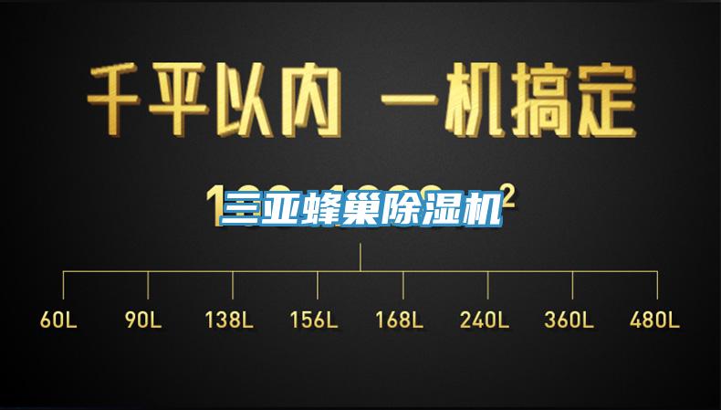 三亚蜂巢免费看操逼软件