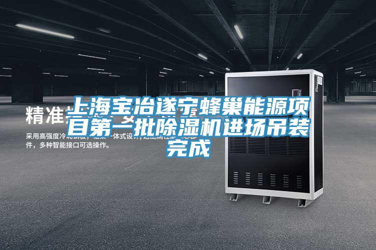 上海宝冶遂宁蜂巢能源项目第一批免费看操逼软件进场吊装完成