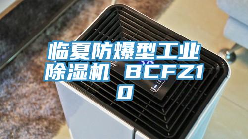 临夏防爆型工业免费看操逼软件 BCFZ10