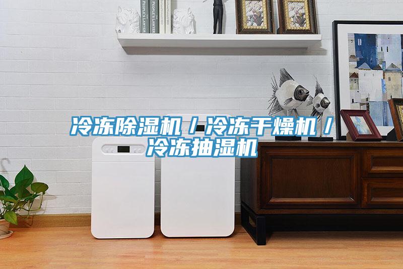 冷冻免费看操逼软件／冷冻干燥机／冷冻抽湿机